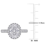 Halo Engagement Ring in White Gold (2.6 CT. TW.)