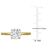 variant:14k-yellow-gold