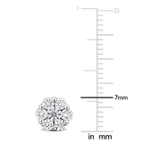 variant:1-ct-tw