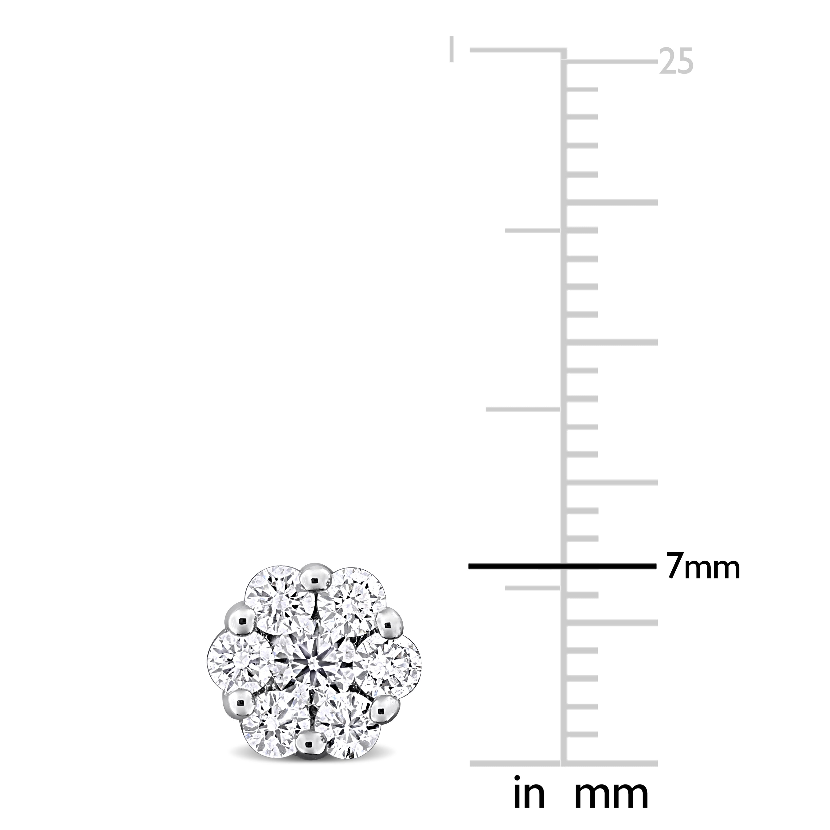 variant:1-ct-tw