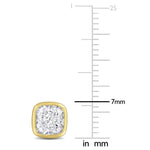 variant:asscher-2-ct-tw