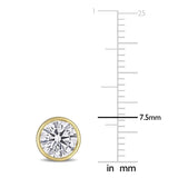 variant:round-2-ct-tw